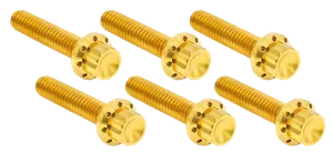 Arlen Ness TRANSMISSION SIDE COVER & TRAP DOOR TITANIUM 12-POINT BOLT KITS
