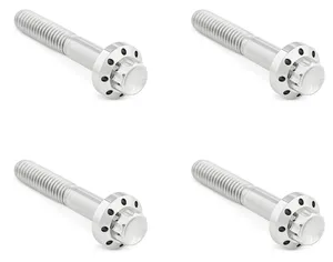Arlen Ness ARLEN NESS TITANIUM 12-POINT FRONT FENDER BOLTS
