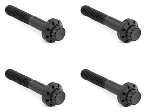 Arlen Ness ARLEN NESS TITANIUM 12-POINT FRONT FENDER BOLTS