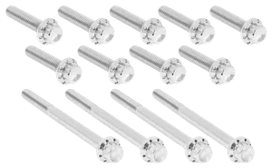 Arlen Ness PRIMARY COVER TITANIUM 12-POINT BOLT KITS
