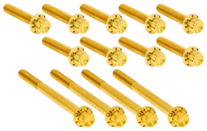 Arlen Ness PRIMARY COVER TITANIUM 12-POINT BOLT KITS