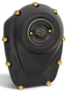 Arlen Ness CAM & POINT COVER TITANIUM 12-POINT BOLT KITS