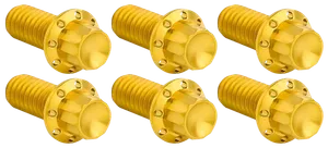 DERBY COVER TITANIUM 12-POINT BOLT KITS