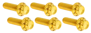Arlen Ness TRANSMISSION TOP COVER TITANIUM 12-POINT BOLT KITS