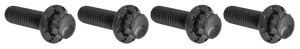 Arlen Ness BRAKE AND PERCH TITANIUM 12-POINT BOLT KITS