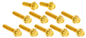 Arlen Ness CAM & POINT COVER TITANIUM 12-POINT BOLT KITS
